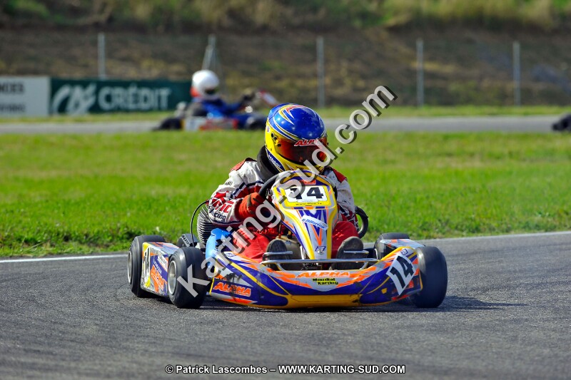 DSC_ (749).jpg